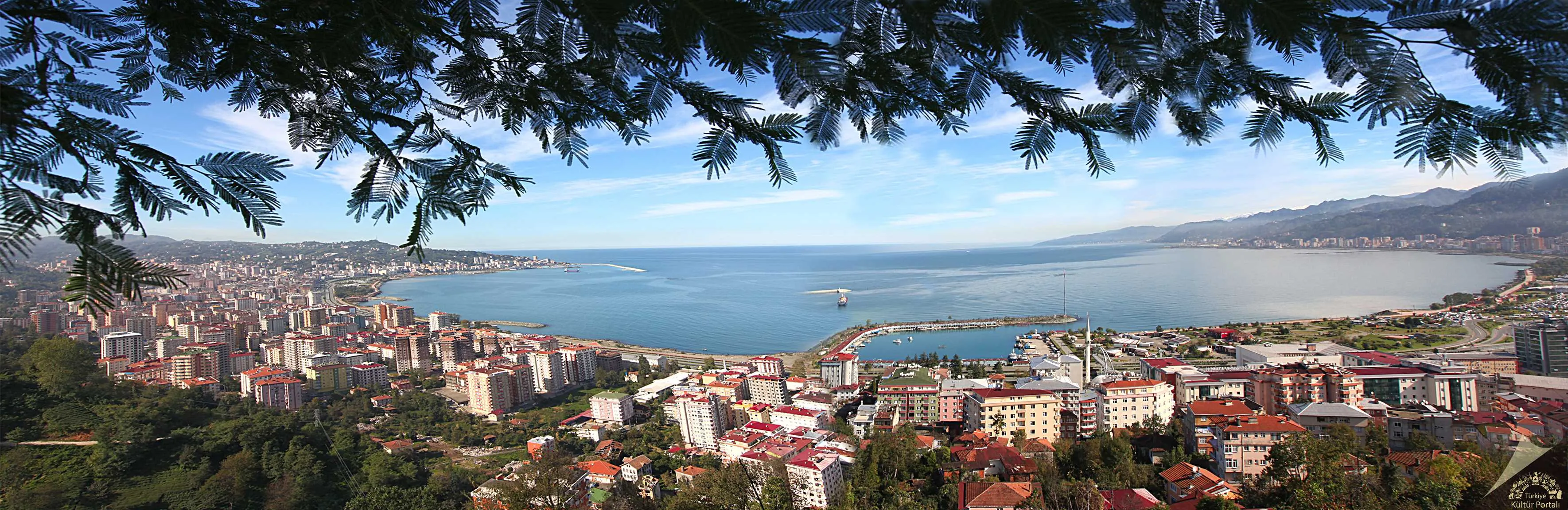 Rize şehirlerarası nakliyat